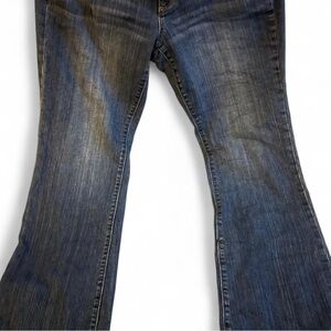 LOFT Women's Flare Jeans in Classic Blue